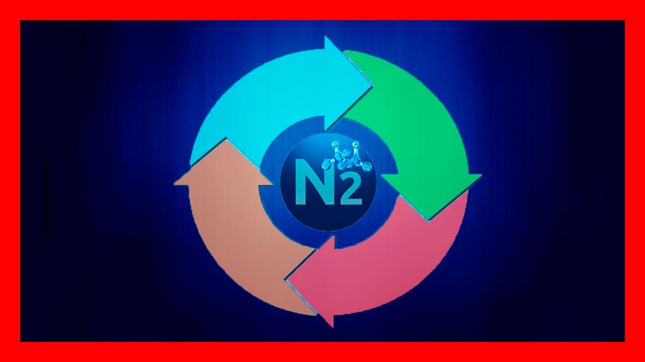 ciclo del nitrogeno en el agua