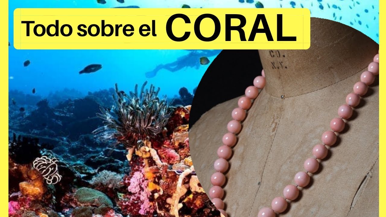 collares de coral autentico precio