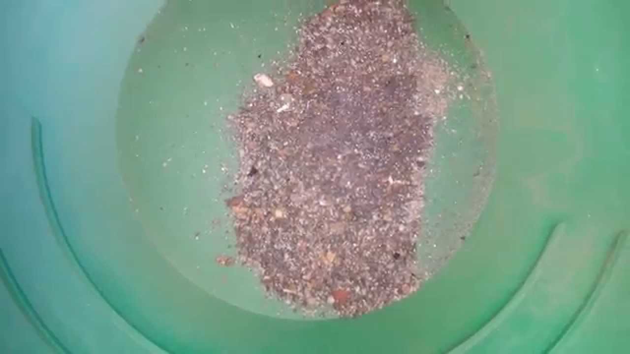 como encontrar oro en los rios de mexico