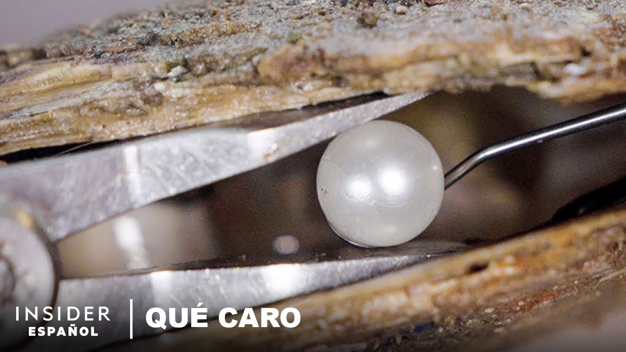 cuales son las mejores perlas del mundo
