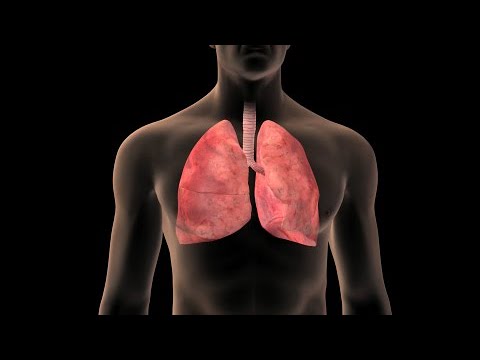 de que color son los pulmones