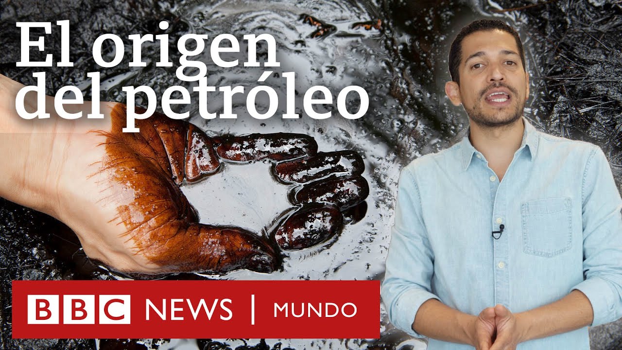 de que esta formado el petroleo