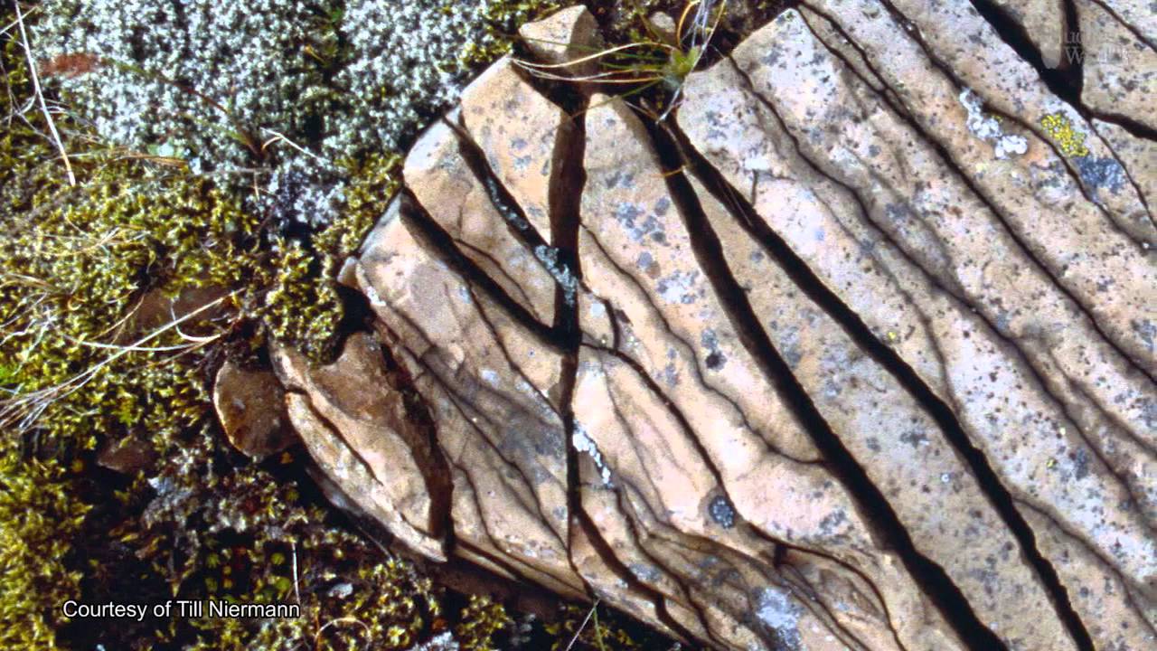 diferencia entre meteorizacion y erosion