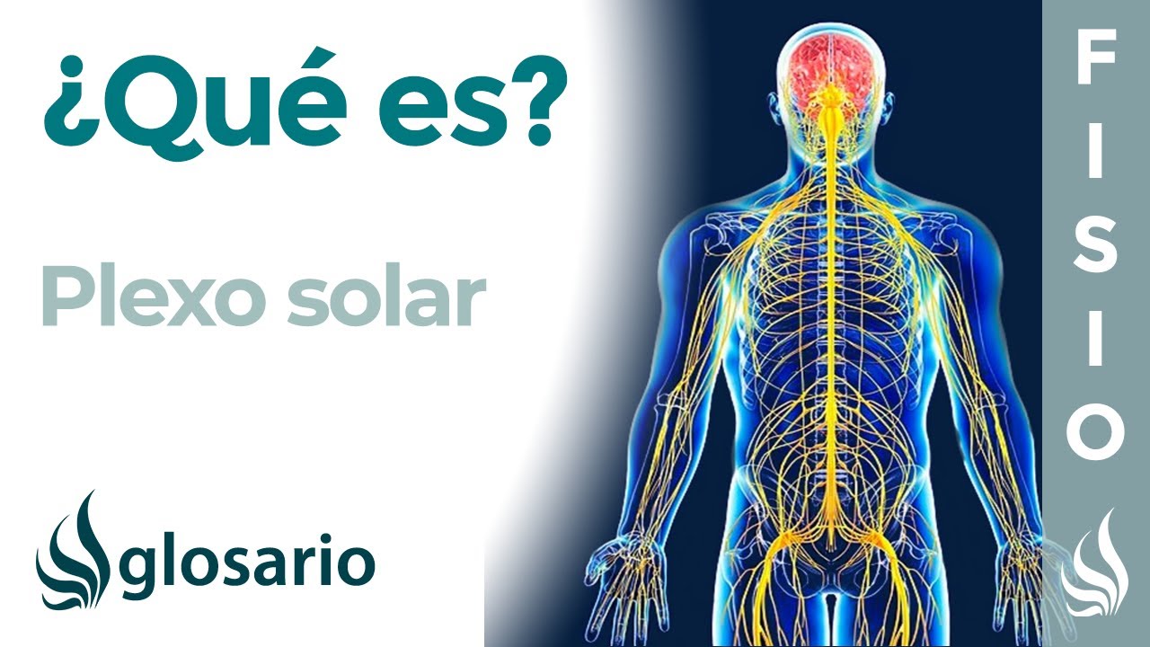 donde esta el plexo solar