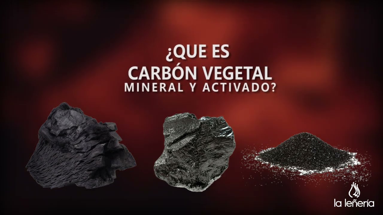 el carbon es de origen vegetal o mineral