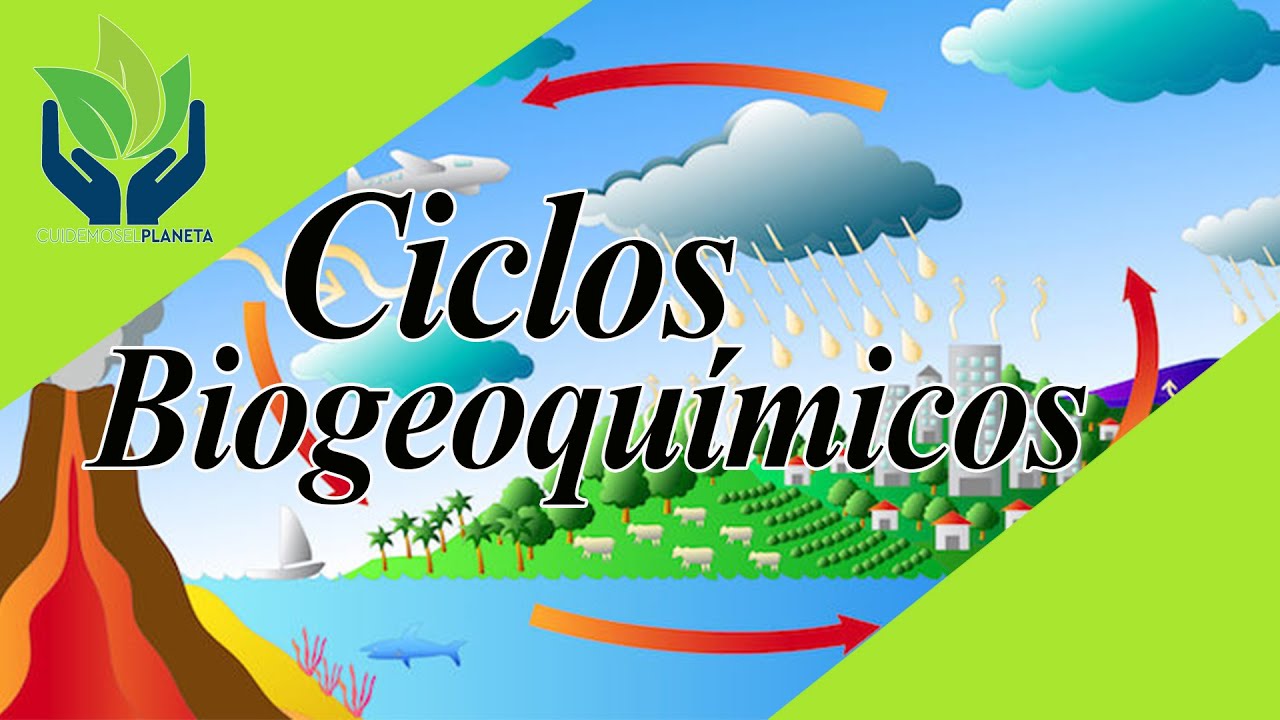 objetivos de los ciclos biogeoquimicos
