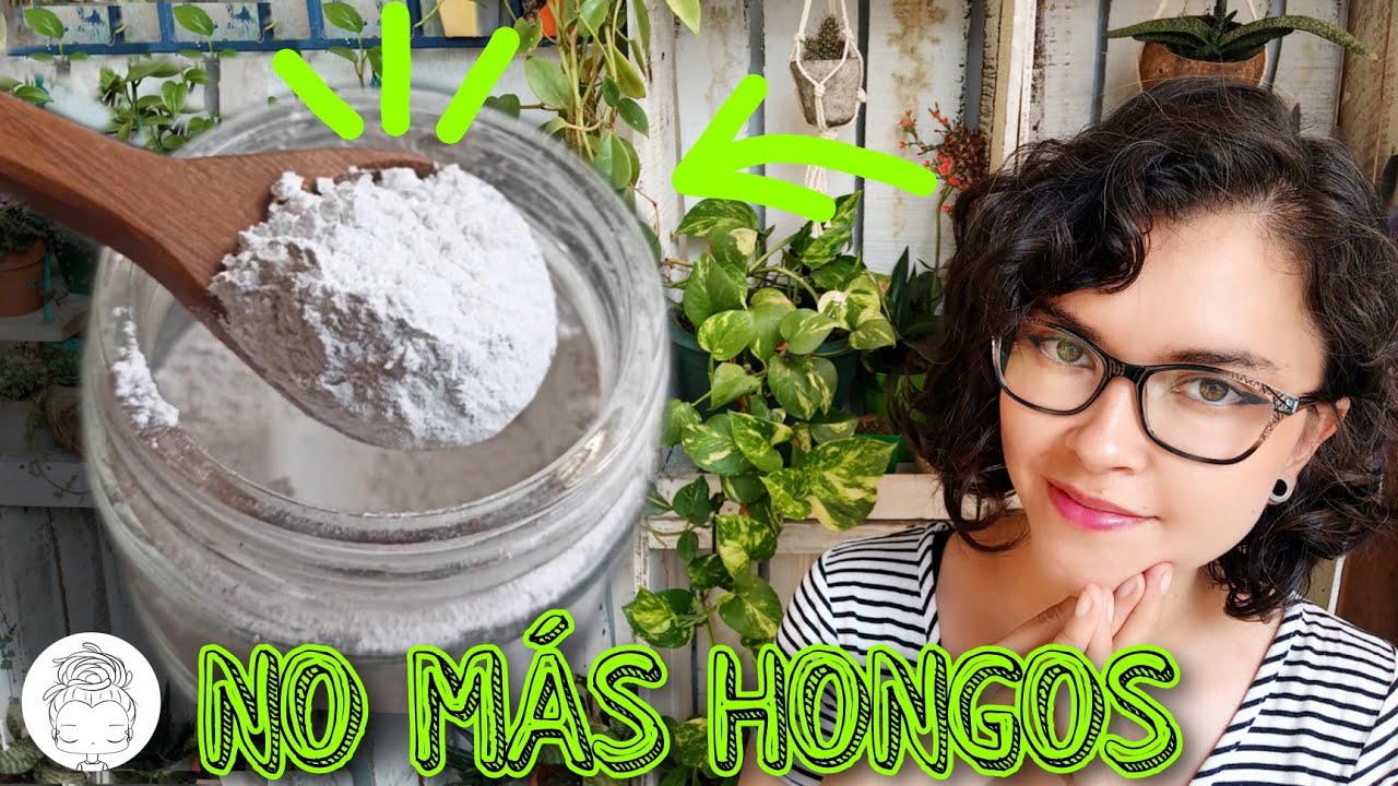 para que sirve la cal hidratada