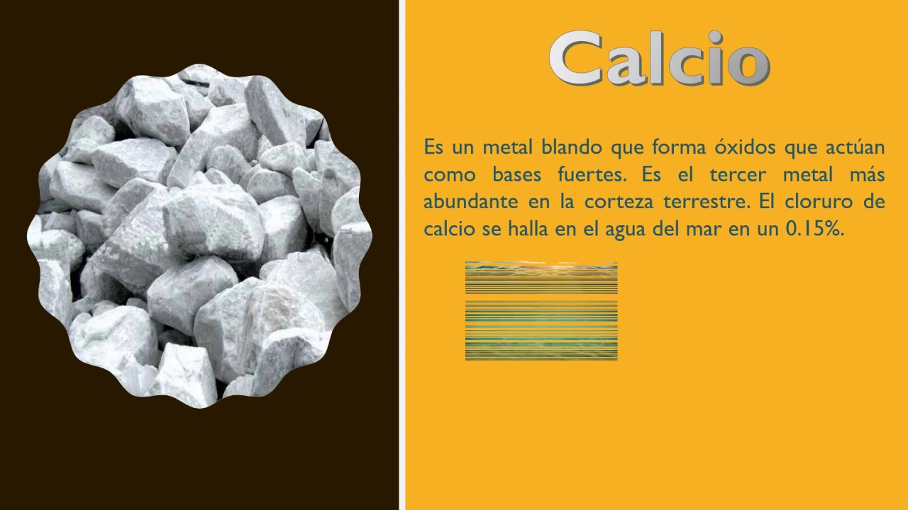 pasos del ciclo del calcio