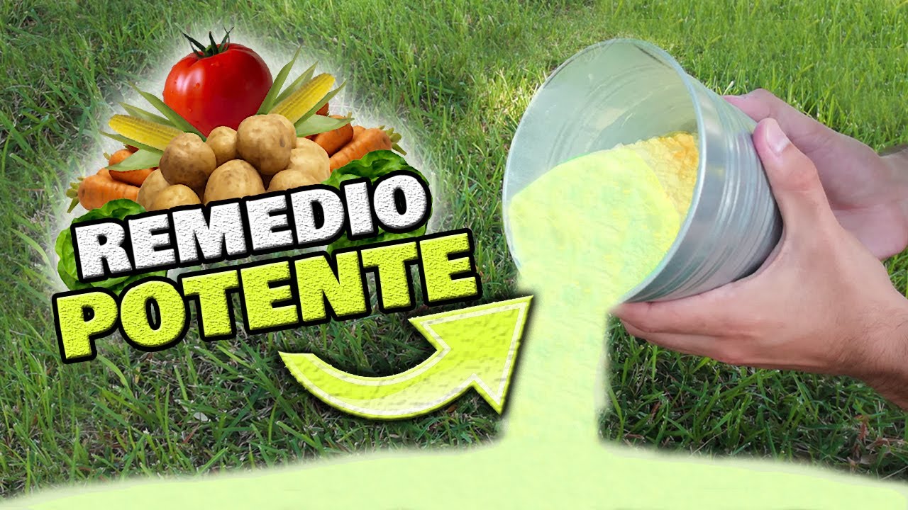 propiedades del azufre en las plantas