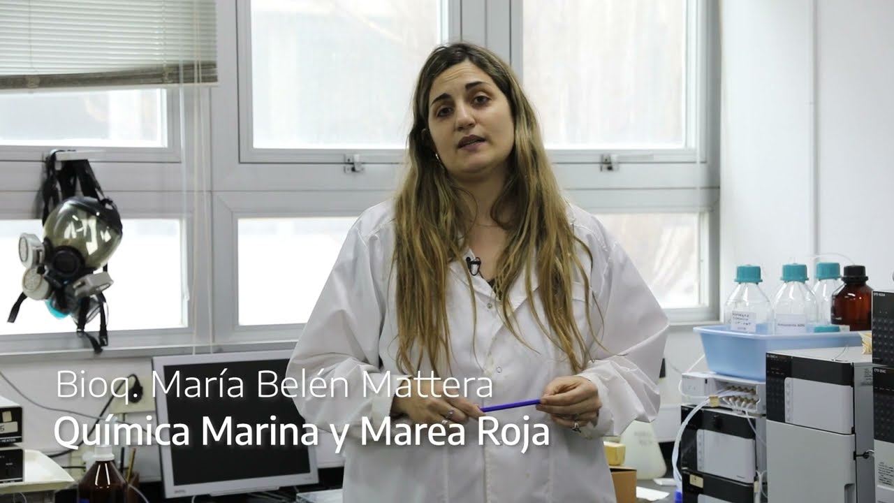 que es la espuma del mar
