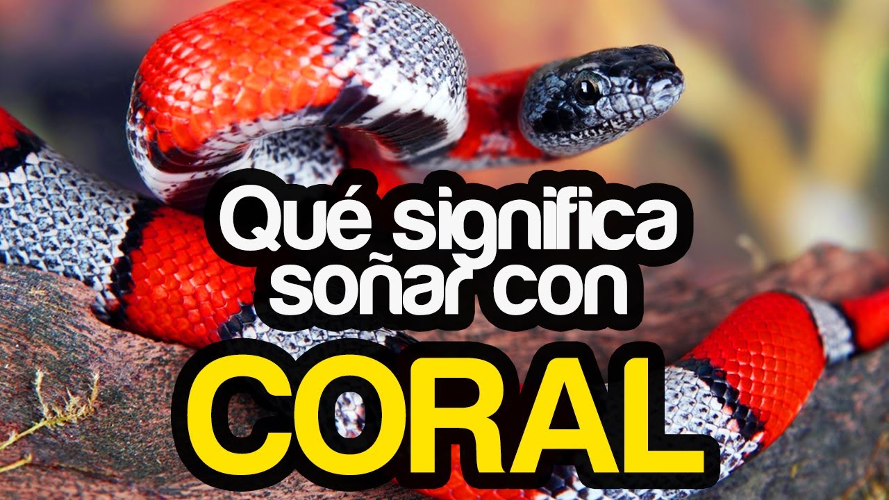 que significa soñar con corales