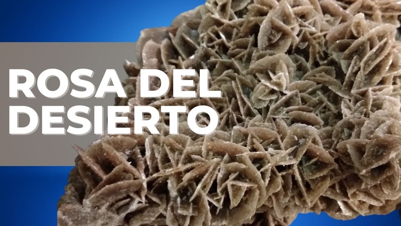 rosa del desierto piedra precio