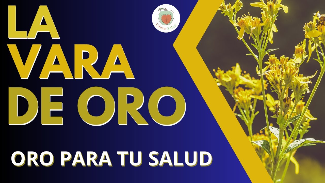 vara de oro propiedades mágicas