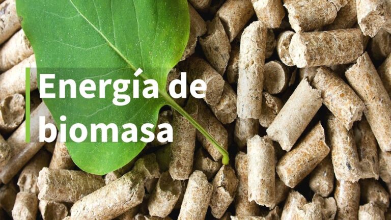 Descubre los increíbles beneficios de la energía biomasa: ¡Una ...