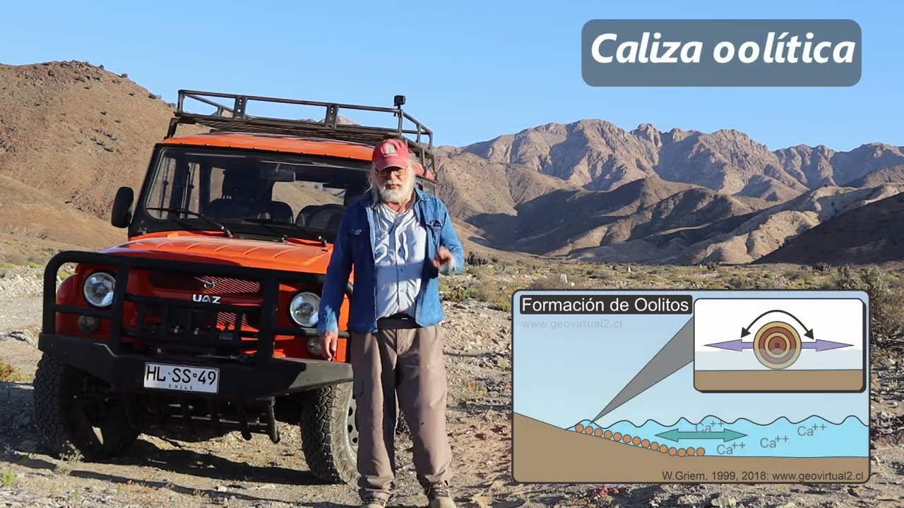 caracteristicas de la roca caliza