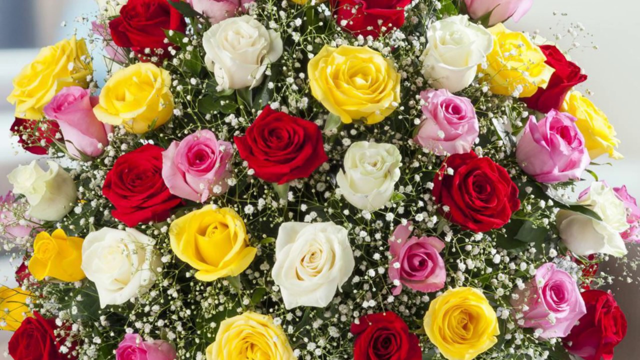 colores rosas y sus nombres
