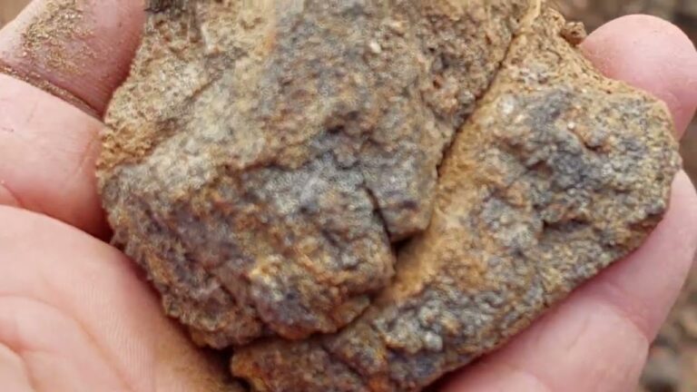 Descubre los mejores métodos sobre cómo quitar piedras de la tierra ...