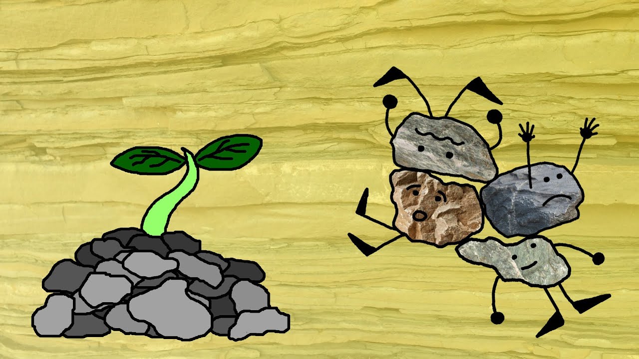 componentes de las rocas sedimentarias