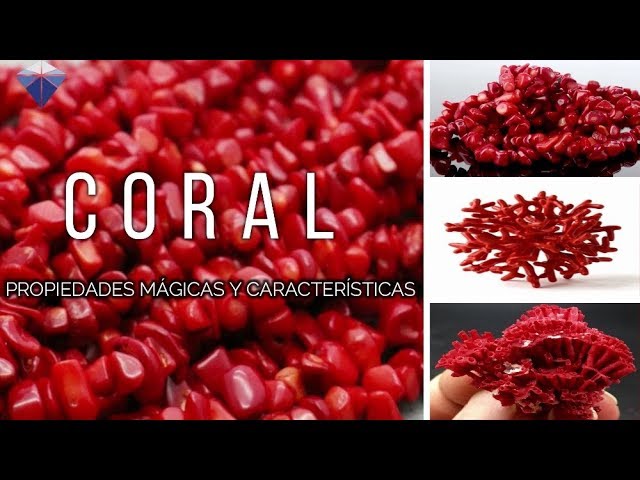 coral de joyeria es un mineral