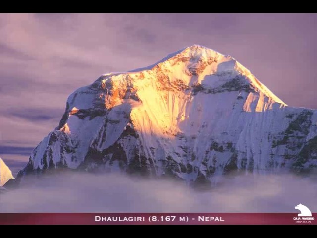 dinamica interna de la tierra