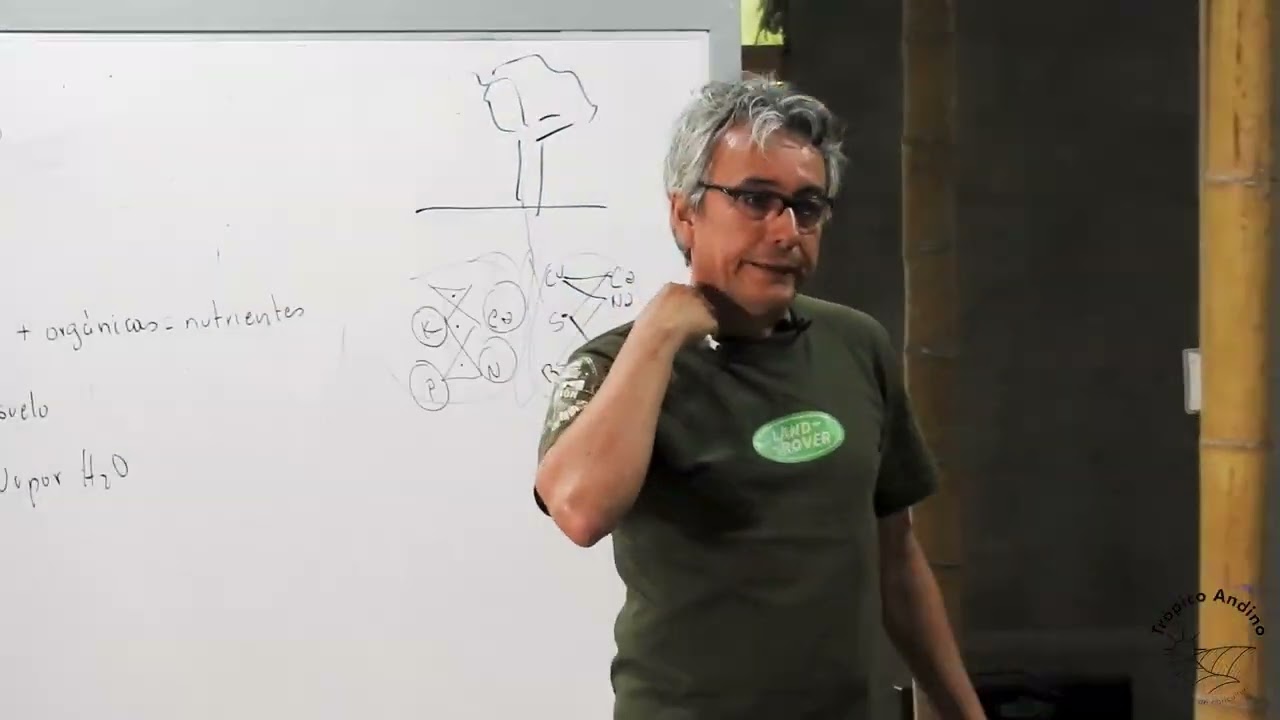 propiedades fisicas de la arena