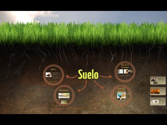 que es el suelo geologia