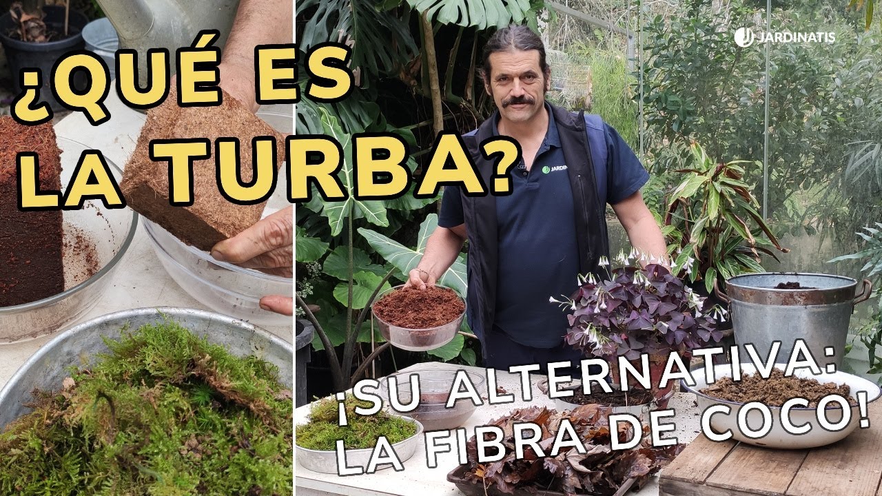 que es la turba para plantas
