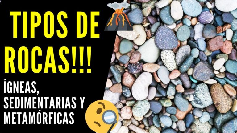 Guía completa sobre rocas ígneas, sedimentarias y metamórficas: Todo lo ...