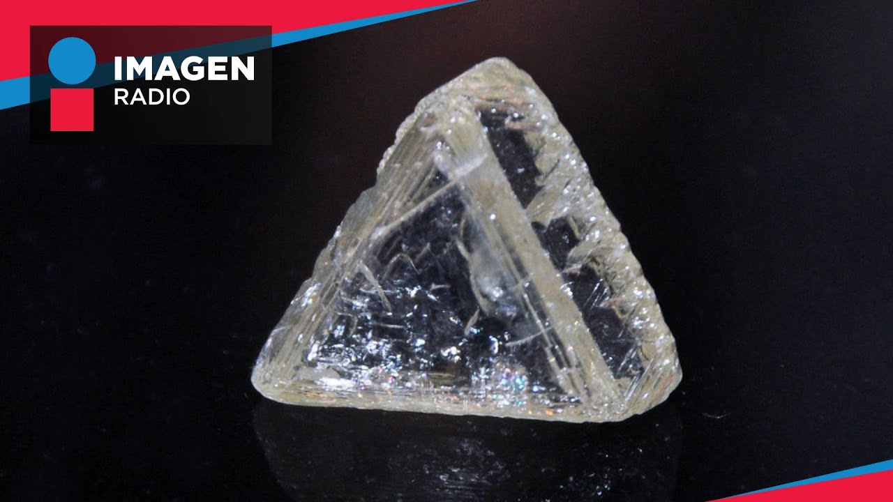 diamantes de sangre preguntas y respuestas